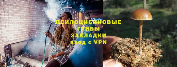 МДПВ Володарск