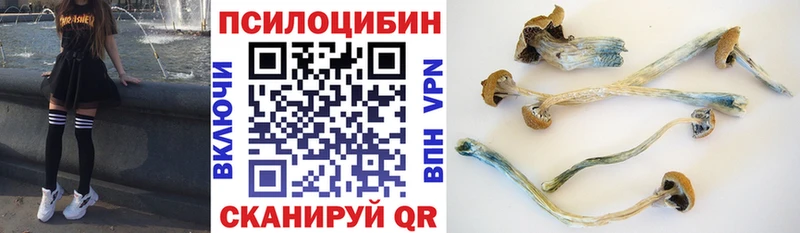 Псилоцибиновые грибы прущие грибы Купить где Знаменск